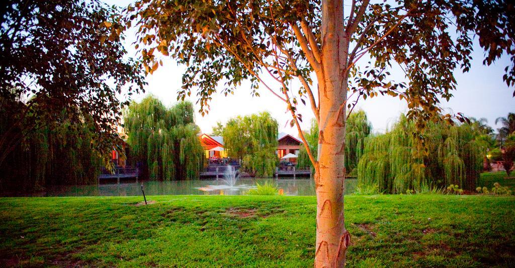 Perricoota Vines Retreat Hotel Moama Luaran gambar