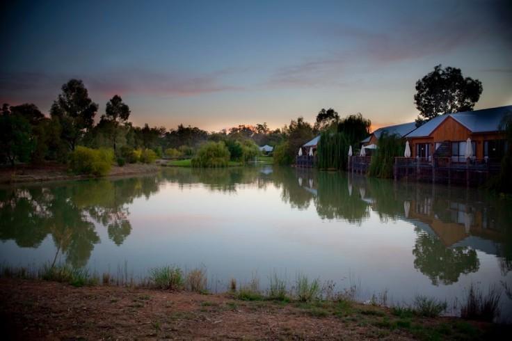 Perricoota Vines Retreat Hotel Moama Bilik gambar