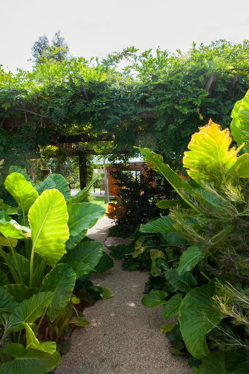 Perricoota Vines Retreat Hotel Moama Luaran gambar
