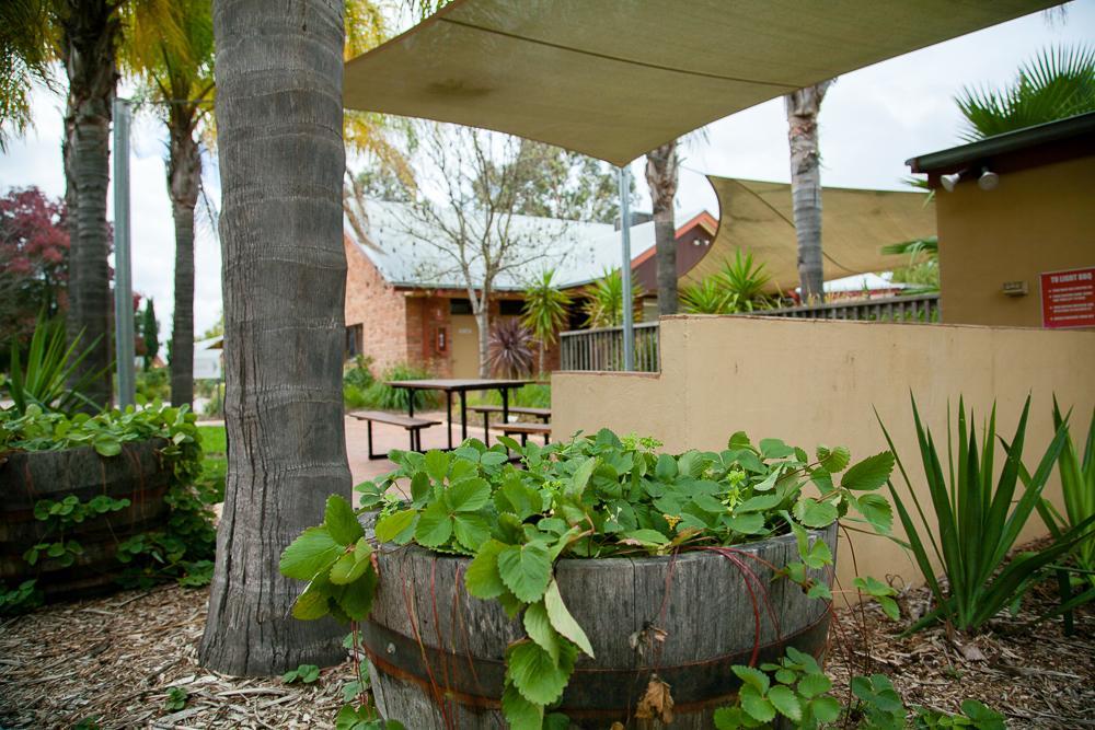 Perricoota Vines Retreat Hotel Moama Luaran gambar