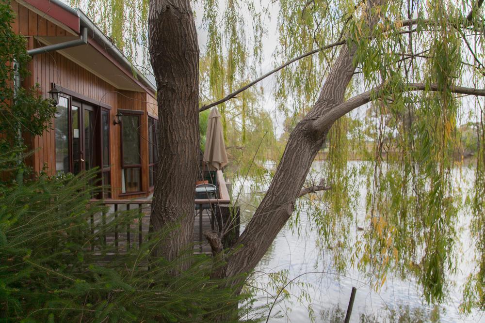 Perricoota Vines Retreat Hotel Moama Bilik gambar