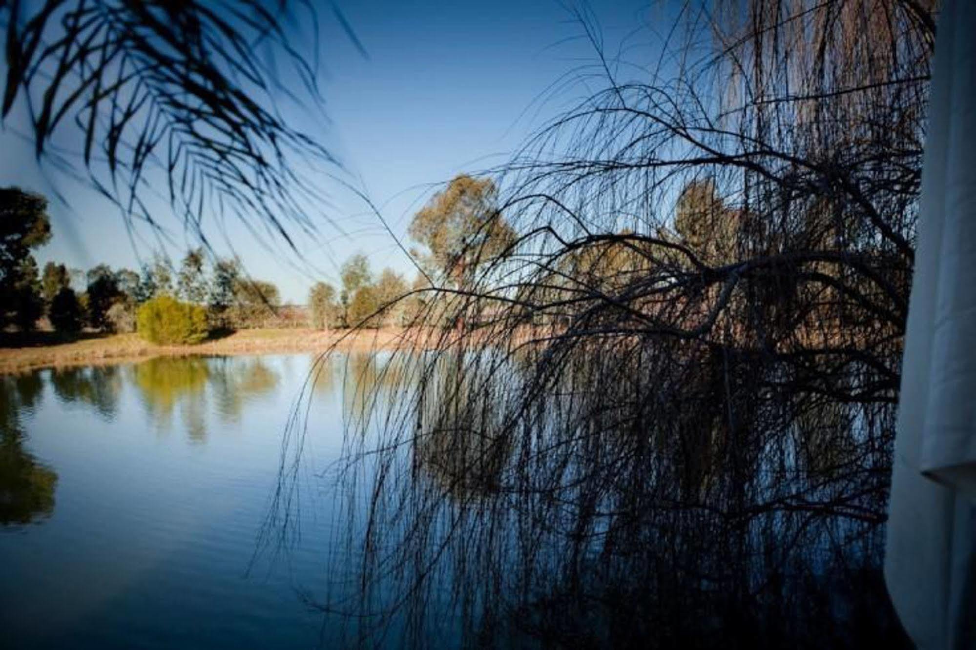 Perricoota Vines Retreat Hotel Moama Luaran gambar