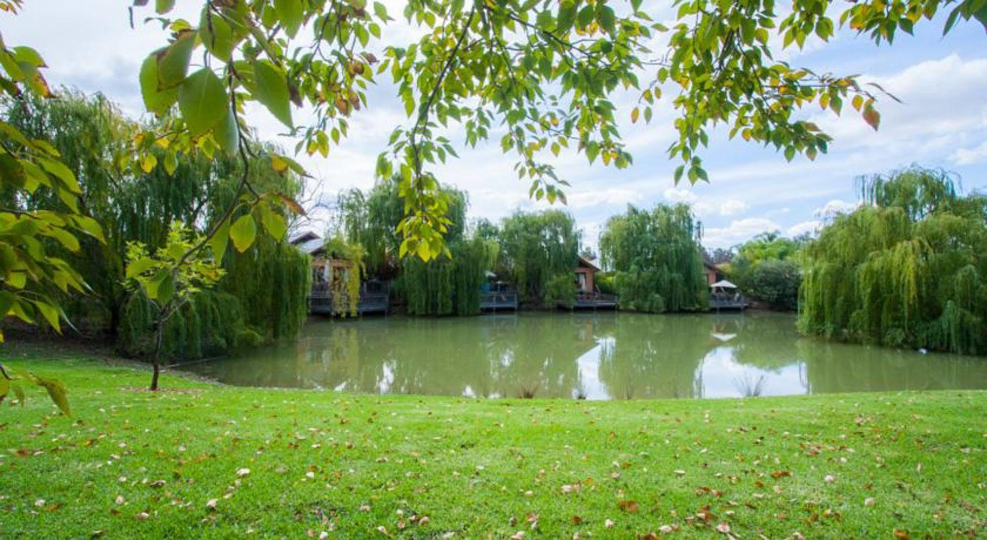 Perricoota Vines Retreat Hotel Moama Luaran gambar