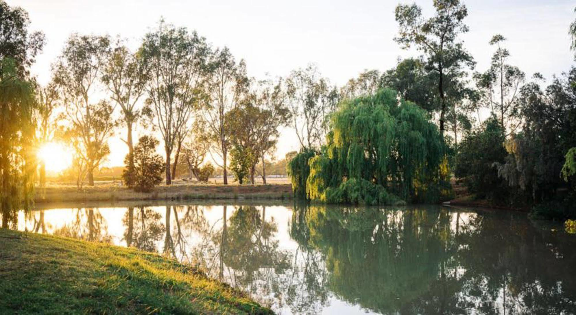 Perricoota Vines Retreat Hotel Moama Luaran gambar